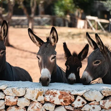Dimora Spierti * Carovigno